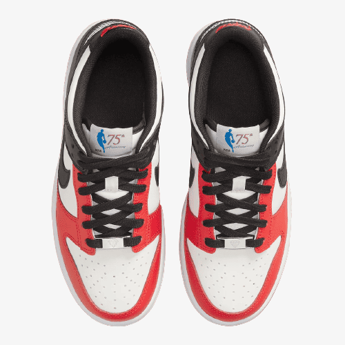 Nike Dunk Low EMB 'Chicago'